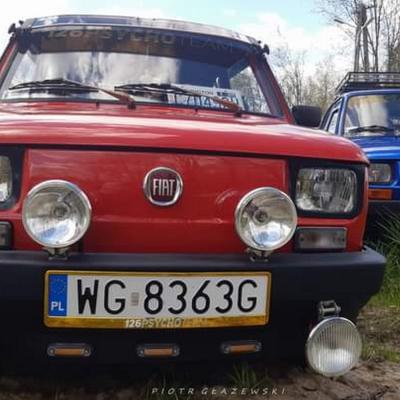 Wilkowyje 113