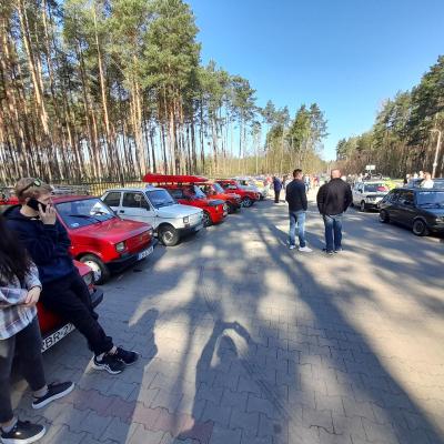 Wilkowyje 8