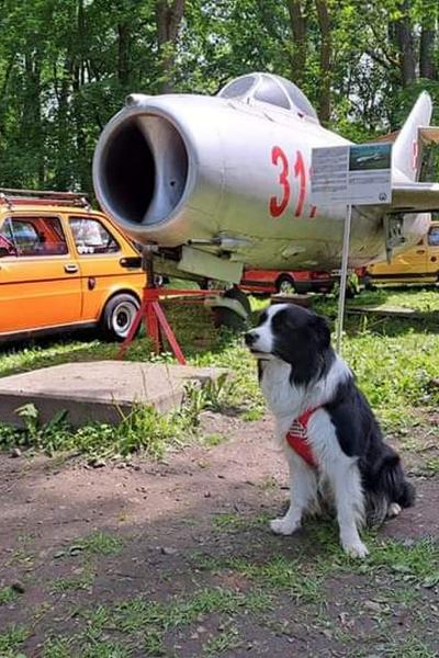 Modlin 20 05 23 89