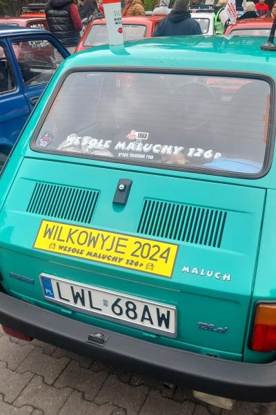 Wilkowyje 2024 6